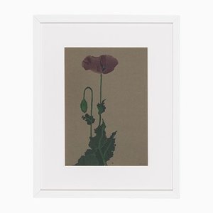 Werner Oberdörffer, Poppy, Watercolor on Paper, Framed-GPP-1125769