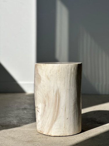 White Petrified Wood Side Table