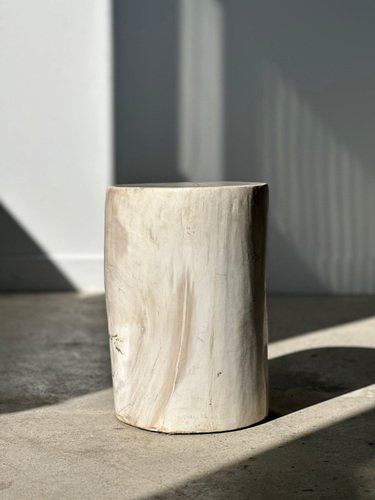 White Petrified Wood Side Table