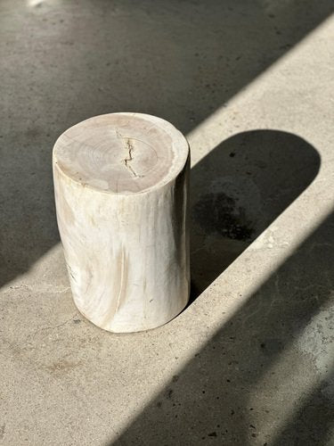 White Petrified Wood Side Table