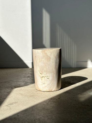 White Petrified Wood Side Table