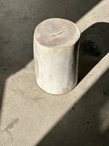 White Petrified Wood Side Table