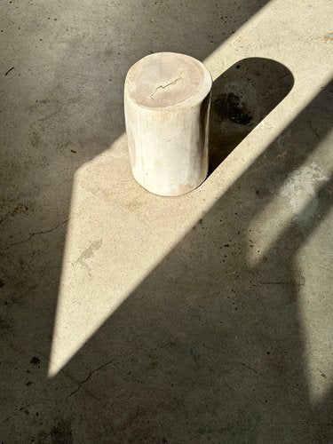 White Petrified Wood Side Table