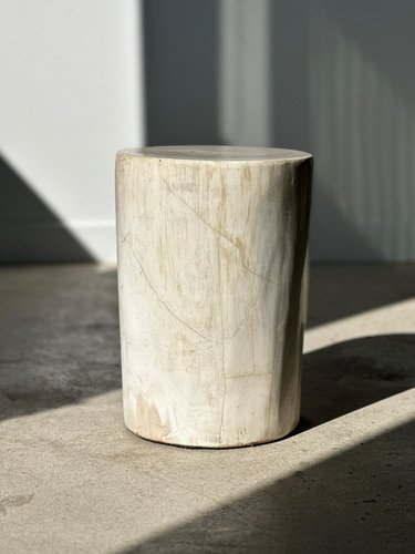 White Petrified Wood Side Table