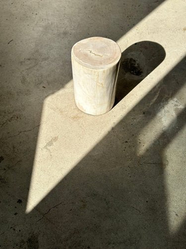 White Petrified Wood Side Table