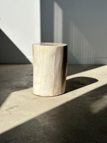 White Petrified Wood Side Table