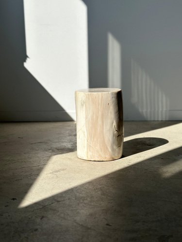 White Petrified Wood Side Table