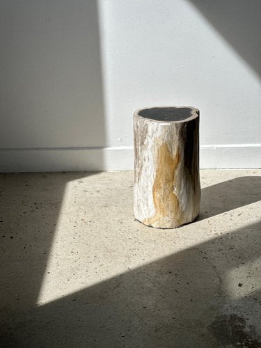 White Petrified Wood Side Table with Black Heart