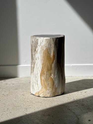 White Petrified Wood Side Table with Black Heart