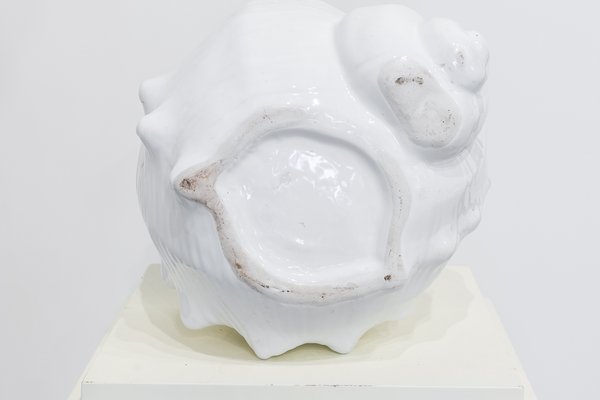 White Shell Shaped Ceramic Pot, 1960s-UJE-665025