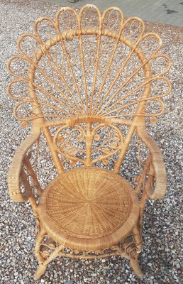 Wicker Peacock Chair-QDP-963300