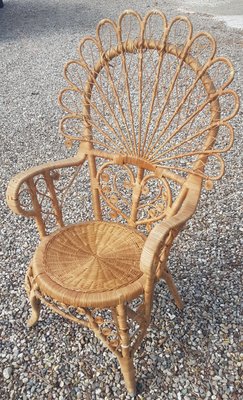 Wicker Peacock Chair-QDP-963300