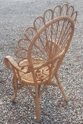 Wicker Peacock Chair-QDP-963300