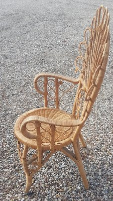 Wicker Peacock Chair-QDP-963300