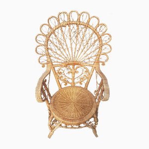 Wicker Peacock Chair-QDP-963300