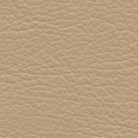 Wilcox Field (VP4010)