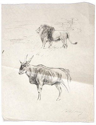 Wilhelm Lorenz - Gnu and Lion - Original Pencil On Paper by Wilhelm Lorenz - Mid-20th Century