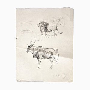 Wilhelm Lorenz - Gnu and Lion - Original Pencil On Paper by Wilhelm Lorenz - Mid-20th Century-ZCI-806200