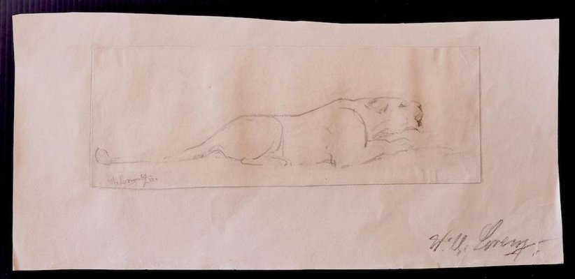 Wilhelm Lorenz, Study of Lion, Drawing, 1932-ZCI-900778