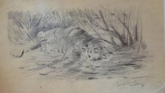 Wilhelm Lorenz - Tiger At Rest - Original Pencil - Mid-20th Century