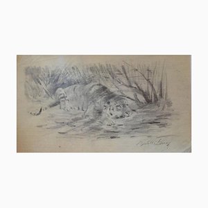 Wilhelm Lorenz - Tiger At Rest - Original Pencil - Mid-20th Century-ZCI-834626