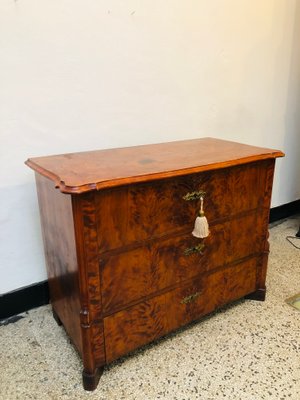 Wilhelminian Dresser, 1870s-RZY-1220677