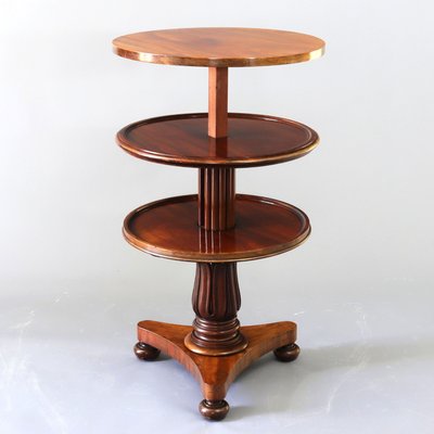 William IV Metamorphic Mahogany Coffee Table or Three-Tier Dumbwaiter, 1835-NUO-1419647