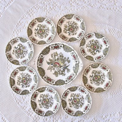 Windsor Staffordshire Polychrome Plates from Ridgway, 1970s, Set of 10-SHG-2031550