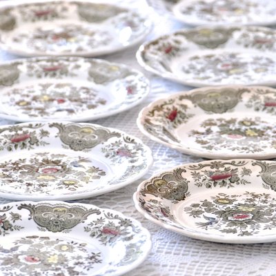 Windsor Staffordshire Polychrome Plates from Ridgway, 1970s, Set of 10-SHG-2031550