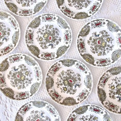 Windsor Staffordshire Polychrome Plates from Ridgway, 1970s, Set of 10-SHG-2031550