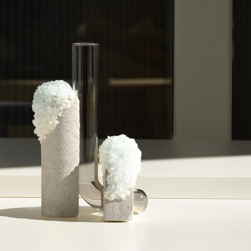 Winter 1 Cochlea Della Metamorfosi 1 Seasons Edition Vase by Coki Barbieri