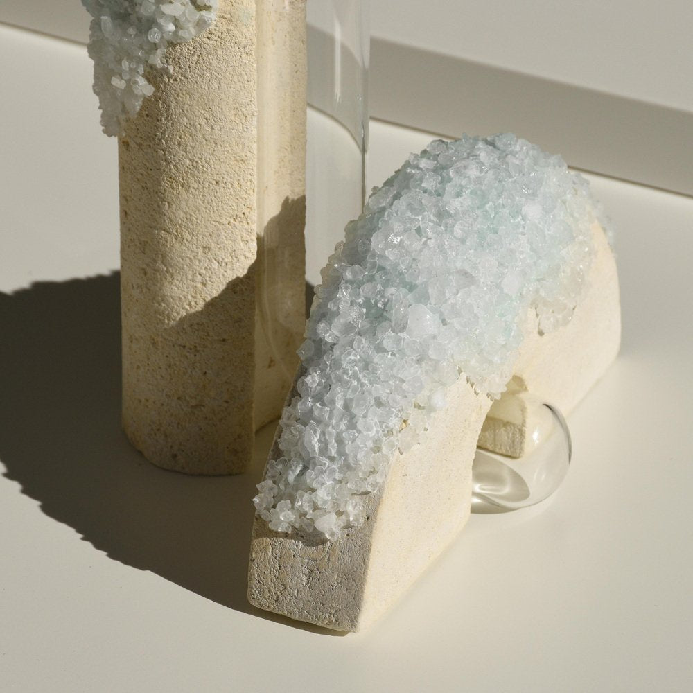 Winter 2 Cochlea Della Metamorfosi 1 Seasons Edition Vase by Coki Barbieri