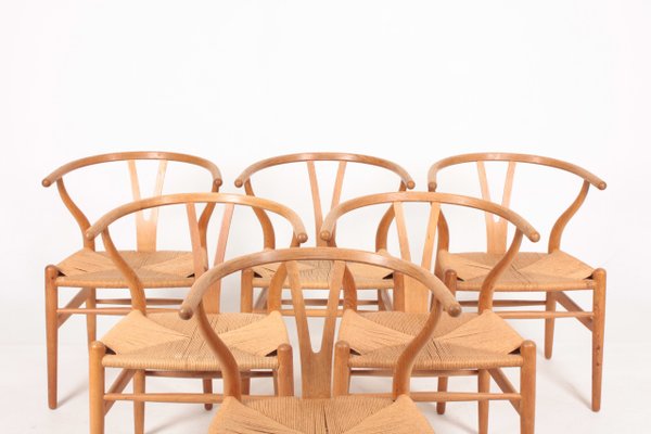 Wishbone Chairs in Patinated Oak by Hans Wegner, 1960s, Set of 6-FK-824392