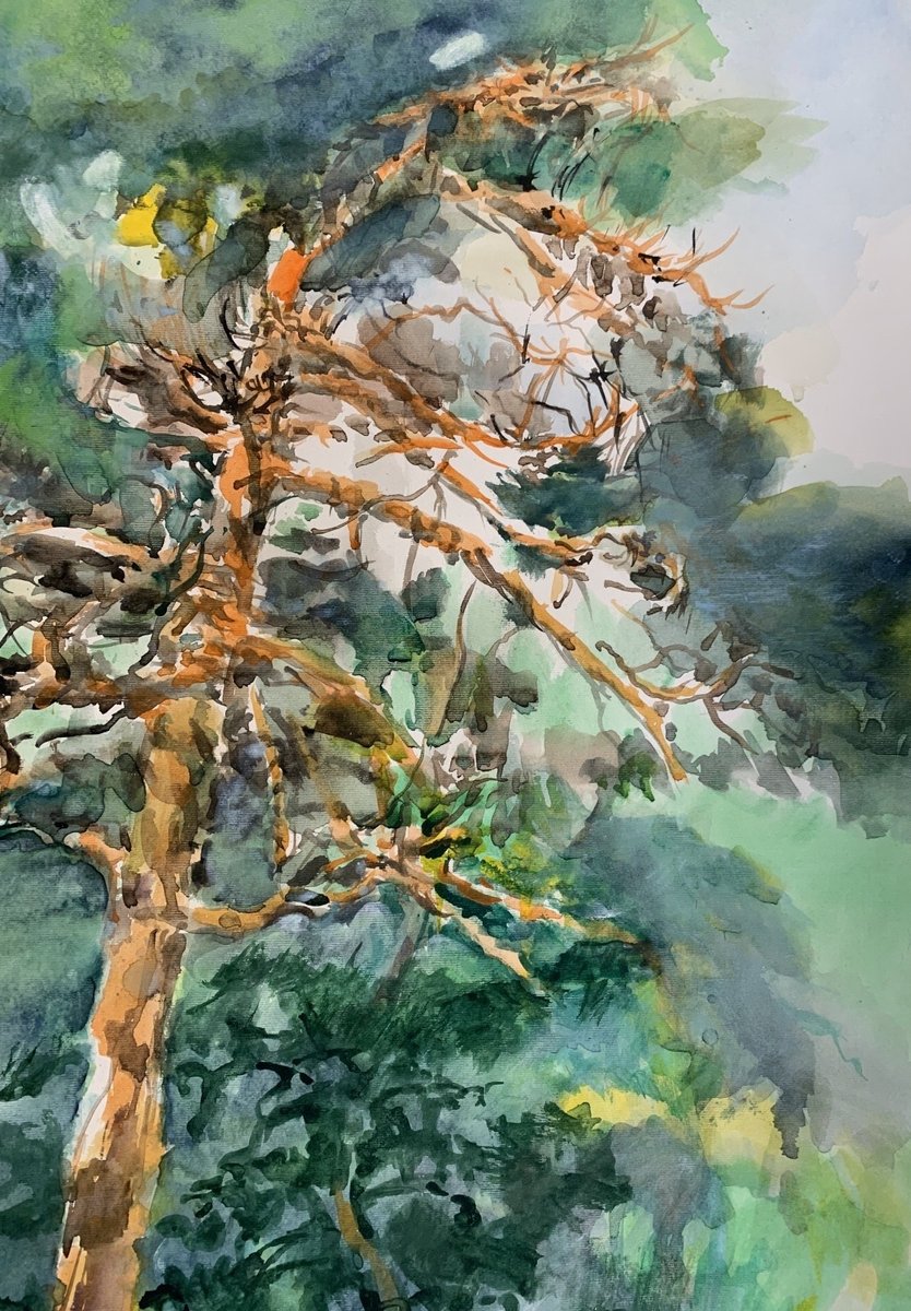 Włodzimierz Karczmarzyk, Krynica Morska, 2007, Watercolor