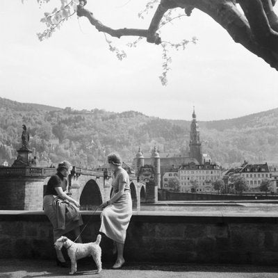 Women, Dog at Neckar Heiliggeist Church Heidelberg, Germany 1936, Printed 2021-DYV-990664