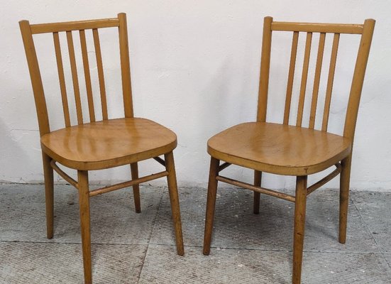 Wood Dining Chairs, Former Czechoslovakia, 1960s, Set of 2-ZWG-1820892