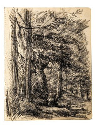 Wood - Original Charcoal Drawing by Jean Chapin - Early 1900 Early 1900-ZCI-760759