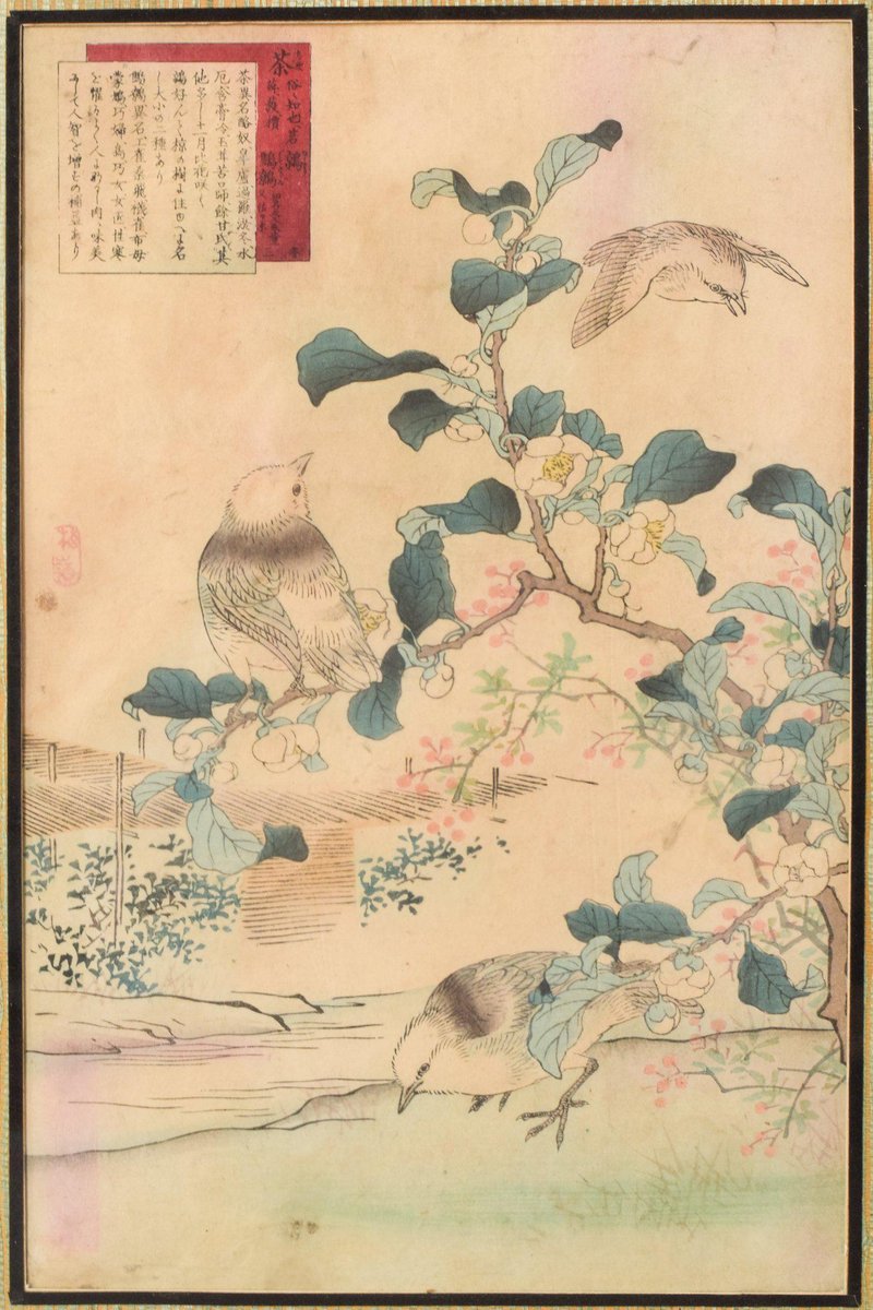 Woodblock with Birds