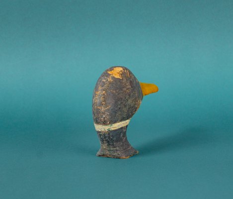 Wooden Duck Head, Tuscany-VLO-1137414