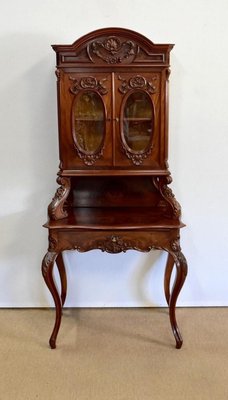 Writer Showcase in Mahogany, 1850s-RVK-1063811