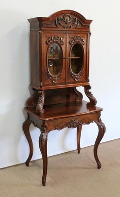 Writer Showcase in Mahogany, 1850s-RVK-1063811