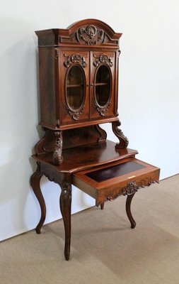 Writer Showcase in Mahogany, 1850s-RVK-1063811