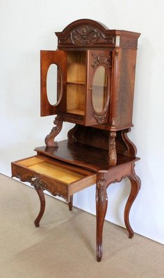 Writer Showcase in Mahogany, 1850s-RVK-1063811