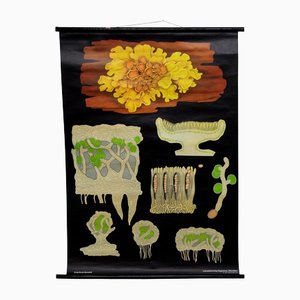 Yellow Lichen Botany Plants Wall Chart by Jung Koch Quentell-KJP-1149389