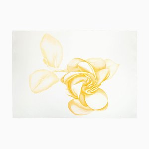 Yellow Rose - Original Etching by Giacomo Porzano - 1972 1972-ZCI-762235