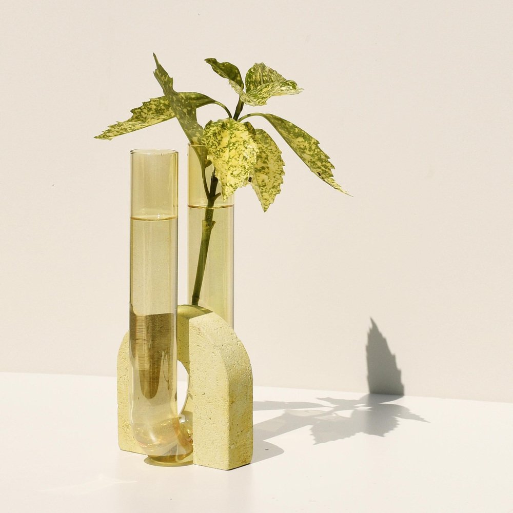 Yellow-Yellow Cochlea Vase by Coki Barbieri