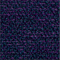 32554