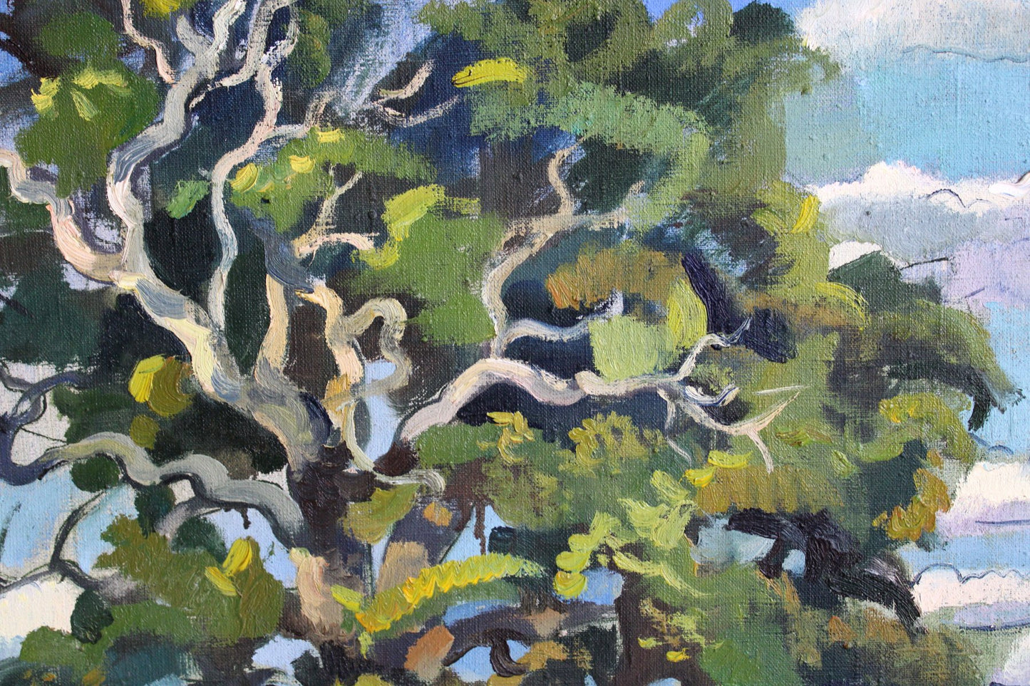 Zita Sudnika, Oak, Oil on Canvas