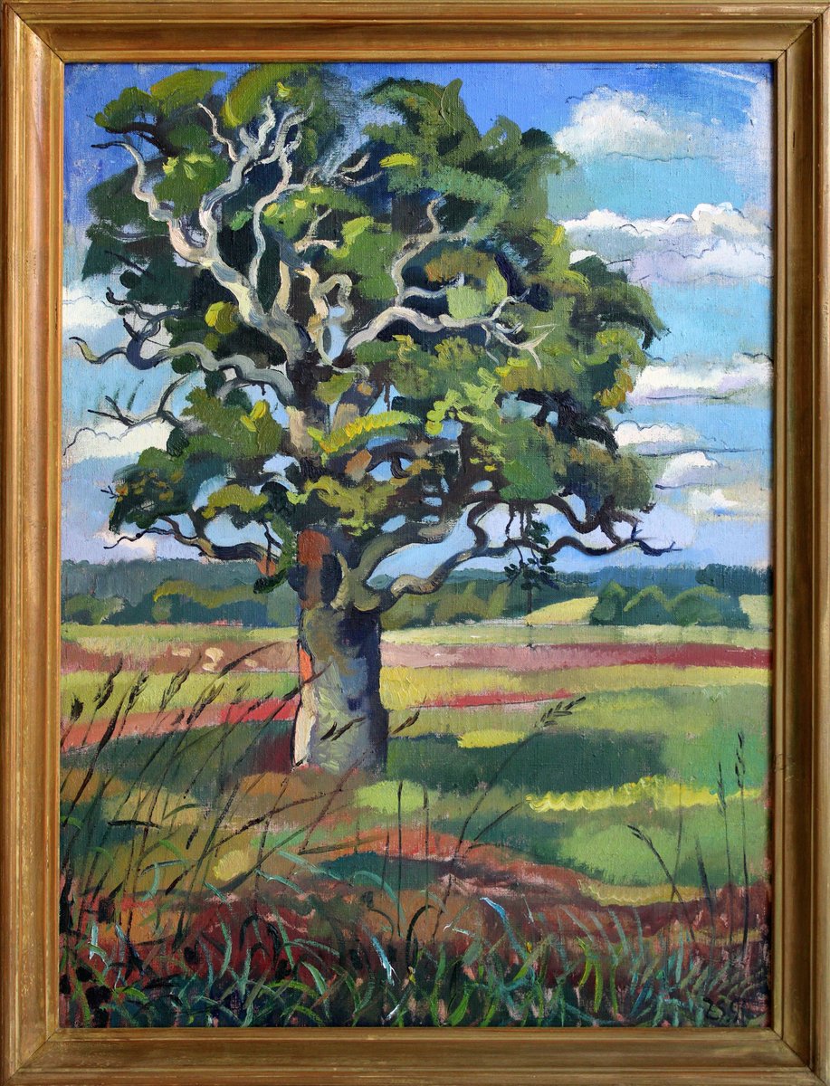 Zita Sudnika, Oak, Oil on Canvas