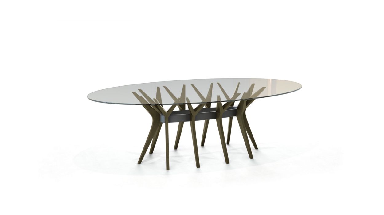 ASTER OVAL DINING TABLE by Roche Bobois